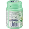 Dontodent Fresh Eucalyptus Жувальна гумка з ксилітом, 50 шт